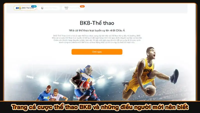 Trang cá cược thể thao BK8 và những điều người mới nên biết